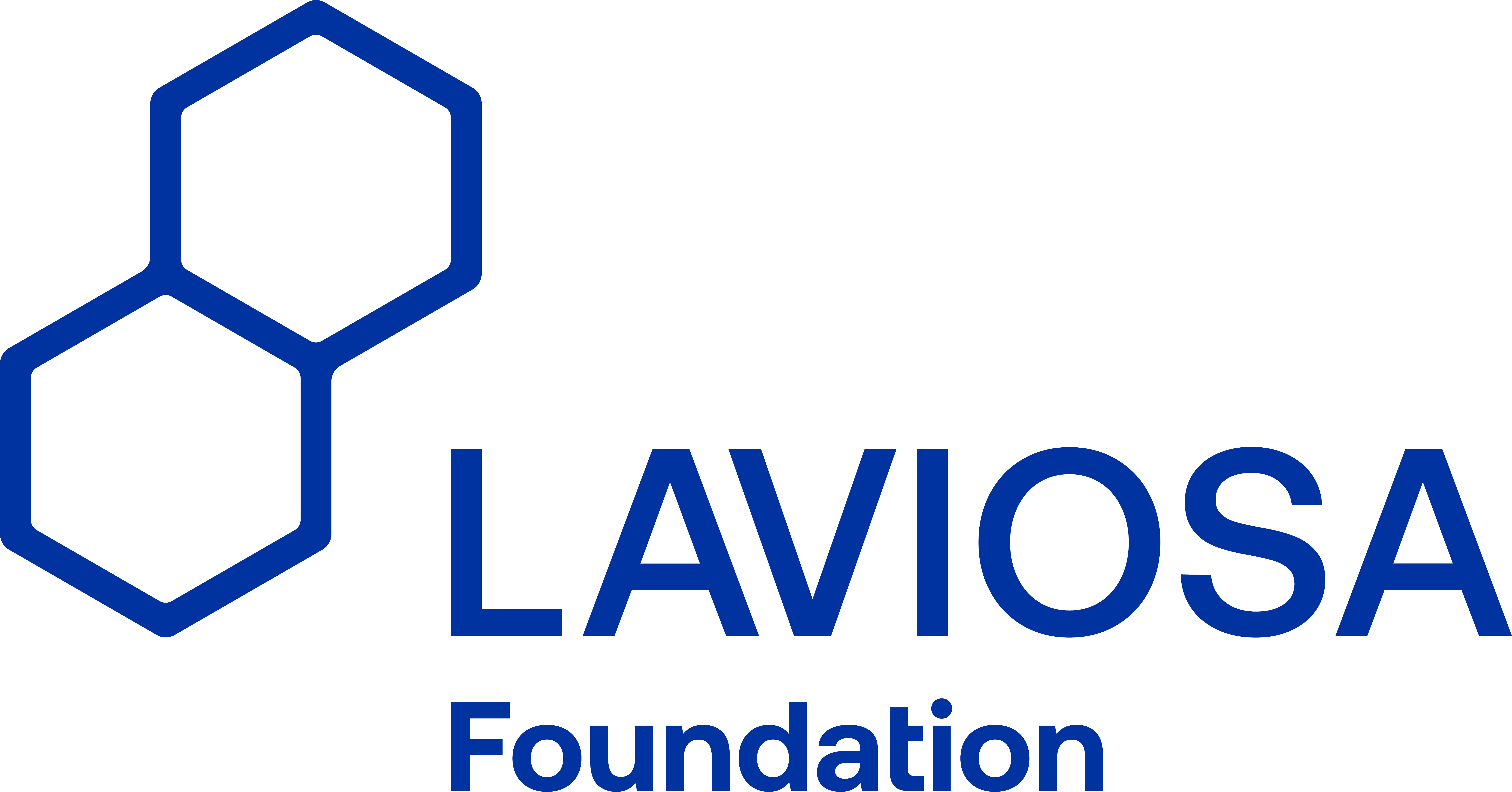 Fondazione Laviosa